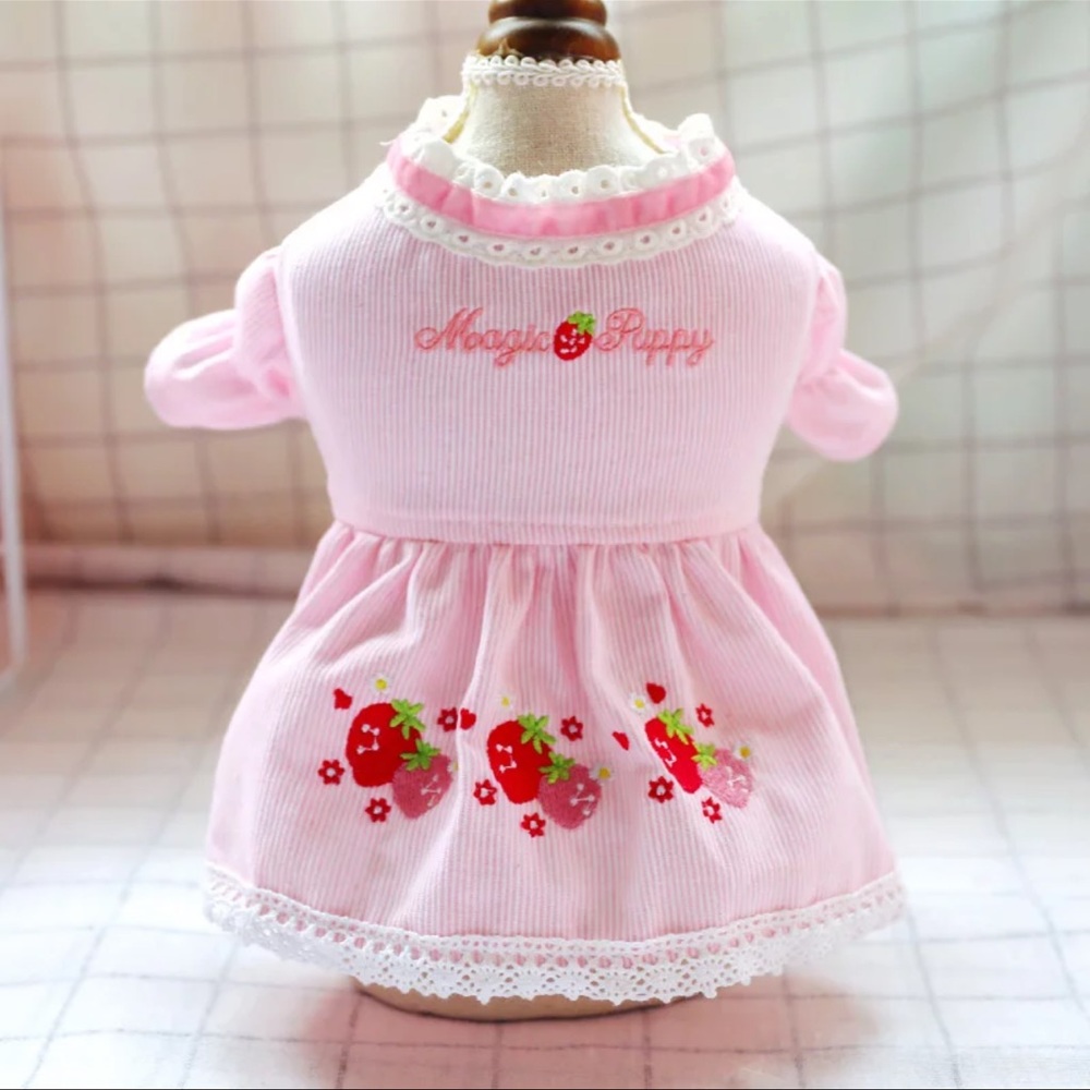 Magic puppy 🍓 dog dress
